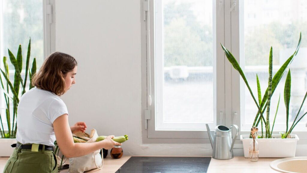 energy efficient windows 2
