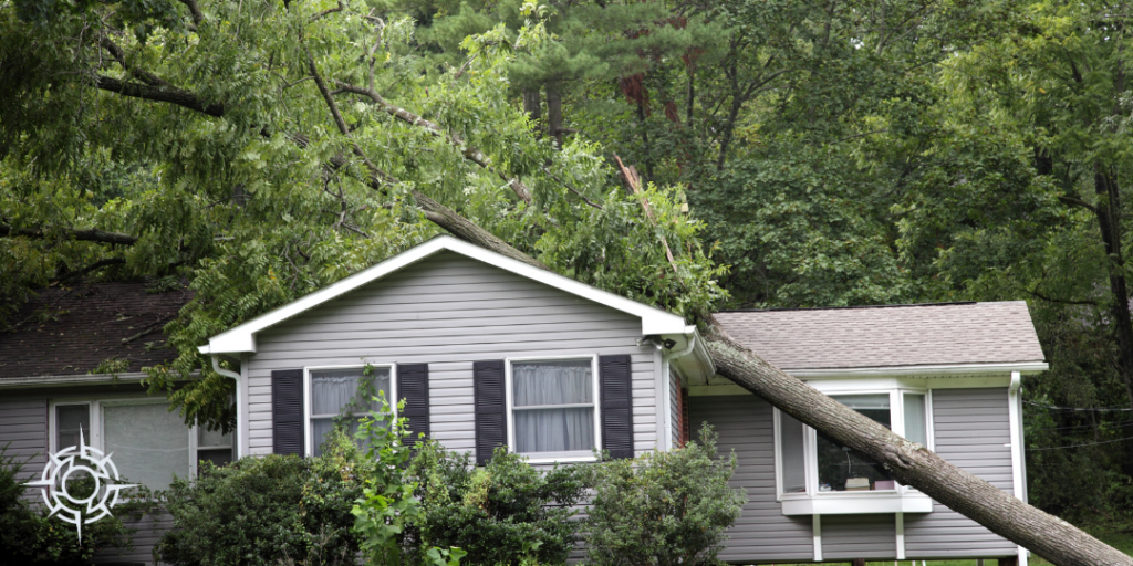 does insurance cover fallen tree damage