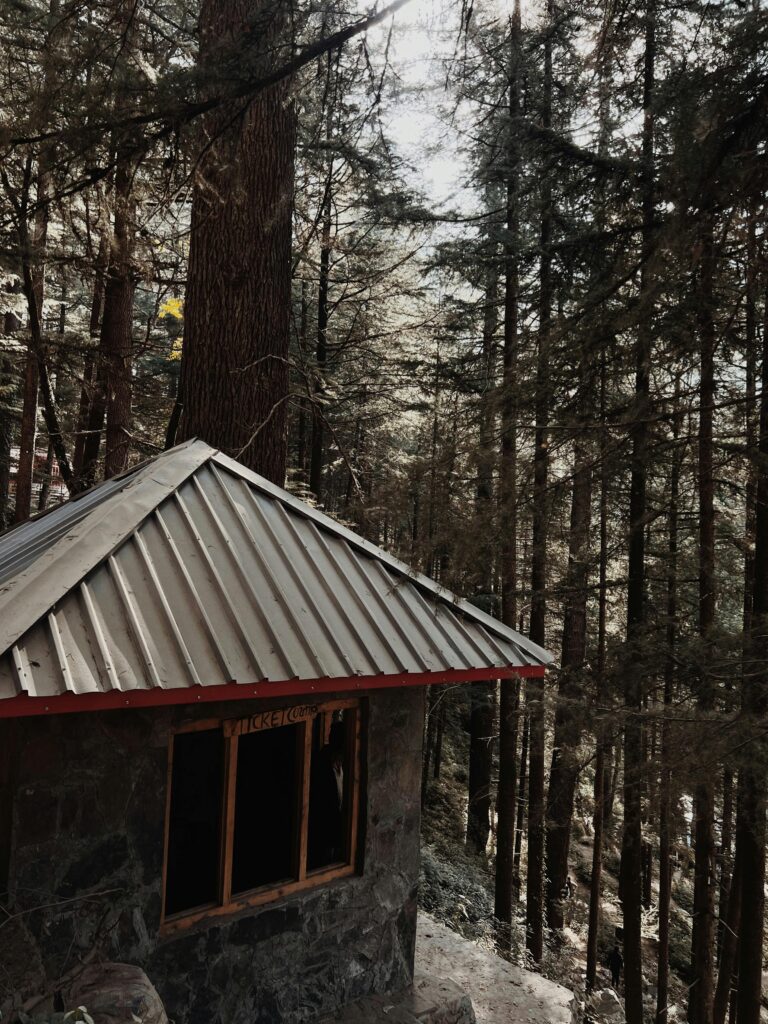 metal roofing